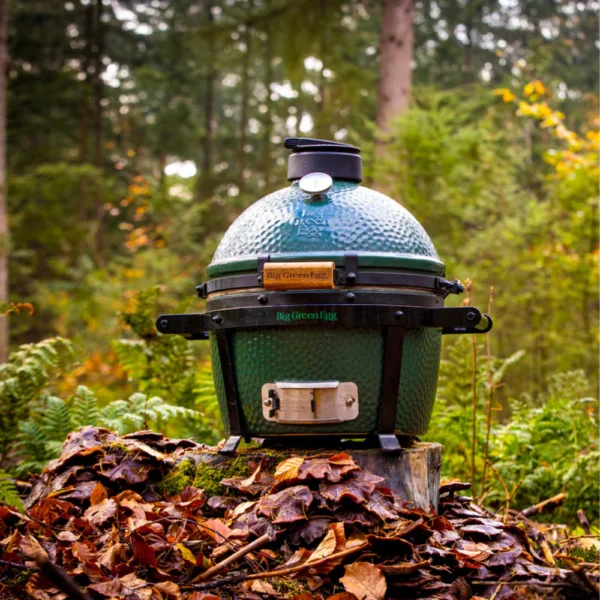Pack Kamado ø 33cm MINIMAX + berceau + déflecteur convEGGtor - Big Green Egg – Image 3